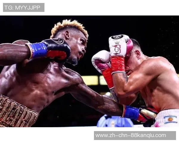 大查洛对决全新挑战者揭开悬念谁将成为拳坛新王者